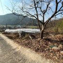 곡성-147 이미지