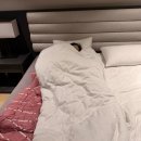 잉꼬세탁 | 담백한 사람이 되는 법