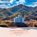비바체 | 하동 여행 숙소 비바체 리조트 추천 인피니티 풀 수영장, 조식 후기