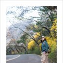4월12일(일) 남산 벚꽃 산책 14시 00 이미지