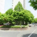 월평주공2단지 이미지