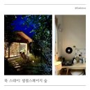 썸원스 페이지 | [춘천 북스테이 후기] 가을의 썸원스페이지 숲
