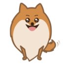 토토애견 이미지