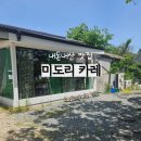 대전 소제동 맛집 주차부터 메뉴까지 솔직후기 미도리카레