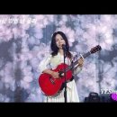 2025년 대구 포크페스티벌 소식... 이미지