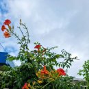 숭인경로당 이미지