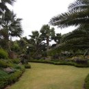 표선리-3 이미지