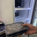 세븐일레븐 영종웨스턴점 이미지