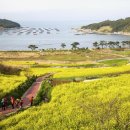 슬로시티청산도 이미지