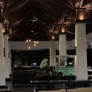 King당구클럽 | 나트랑 아미아나리조트 냐짱: 주요 서비스 최신 정보 📌 스노쿨링 액티비티 시간표 스파 메뉴 공항픽업