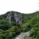 달마고도 이미지