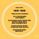 청호약국 | [속초 중앙시장] 마카오박 에그타르트 후기🥧 휘낭시에까지 완벽했던 주말 현장 웨이팅 성공기, 주차tip✨️