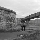 Fall in Rags 이미지