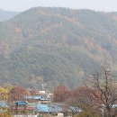 아낙네