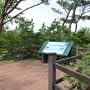 이태백야영장 이미지