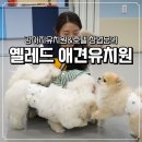 바나개 애견유치원 호텔 | 강아지유치원비용 고민 중이라면? 옐레드 애견유치원&amp;호텔 창업문의 후기