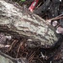 금정농장 이미지