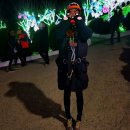 청도프로방스 불빛축제 카라반 펜션 이미지