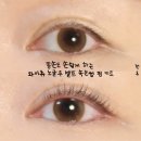 노셀프뷰티 | 와이츄 노글루 셀프 속눈썹펌 키트 사용후기 (에이블리 뷰티그랜드세일 정보공유 까쥐