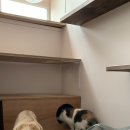 에어묘앤비 이미지