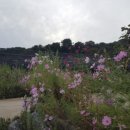 북스테이 시점 이미지