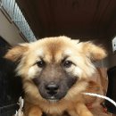 화성4리 이미지