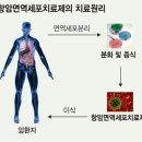 면역세포치료제 관련주 T세포 관련치료 항암면역세포 치료제 총출동 이미지