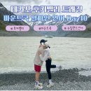 초장주유소 | 테카포 후커밸리 트래킹 후 마운트쿡 알파인 연어(컵라면, 초장)