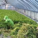 지리산농협 하나로마트 이미지