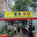 분당정동