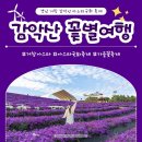 노을빛마을1단지 경로당 | 거창 가볼만한곳 아스타 국화 축제 [감악산 꽃별여행] 풍력단지
