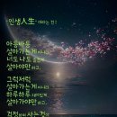 &#34;&#39;시산회&#39;(詩山會) 497회 청계산(&#39;옥녀봉&#39;) 산행 사진&#34;＜2024.11.09(토)＞ 이미지