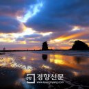 선정공원 이미지