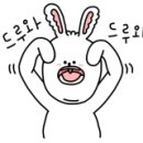 살롱드 펫 이미지