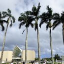 케이나인(K9)호텔 | 괌 여행준비물 체크리스트 총정리 8개월 아기랑 이유식부터 라면까지