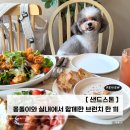 하울리우드 애견유치원 | 대전 애견동반 브런치 어디가 좋을까? 상대동 샌드스톤은 어때
