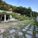 (주)플레이라움 | [내돈내산] 플레이라움 후기&정보ㅣ파주 강아지운동장 수영장 추천