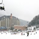 파인리조트 이미지