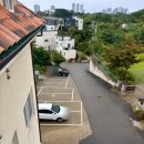 데이지풀빌라 | 강원도 고성 숙소 벨로시&amp;메이플 풀빌라 후기