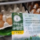 진정농장 네이버블로그