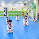 국가대표 인성태권도장 이미지