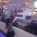 라라아비스 | 평택 아이와 아쿠아 카페 체험 라라아비스 좋아해요