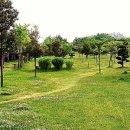 상동체육공원 이미지