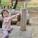 불당유적공원 | 천안불당동유적공원, 천안 아이랑 놀이터 추천 불당동유적공원유아숲체험장(주차, 위치)