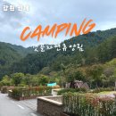 인제로L | 강원 인제 갯골자연휴양림 B사이트 후기 l 숲나들e 예약 l 신상 자연휴양림