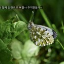 여행-추억만들기 이미지