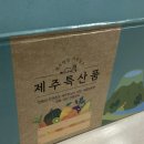 힘찬하우스 | 청정제주산 노지감귤 추천 껍질 얇고 달콤한 로얄과 사이즈 힘찬열매 감귤 후기