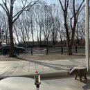 아토 강아지 미용실 이미지