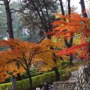 금강공원1 이미지