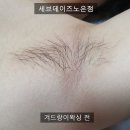 세븐노은 이미지